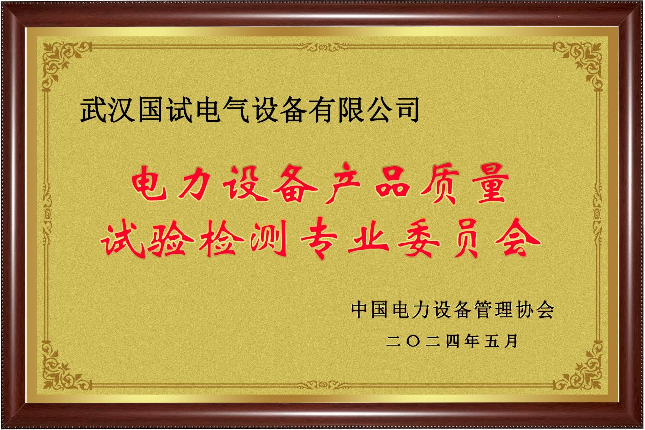 电力设备产品质量试验检测专业委员会
