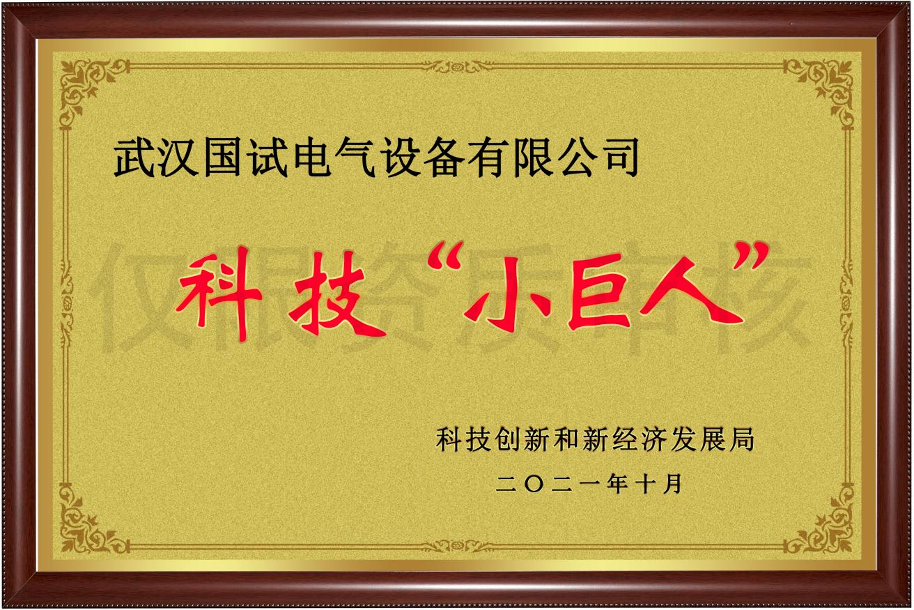 科技小巨人